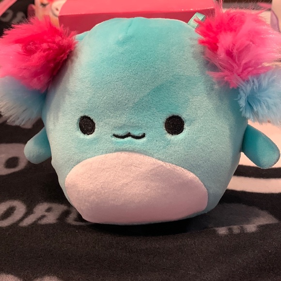 Squishmallows Other - Anastasia squishdoo squishmallow axolotyl 5 inch